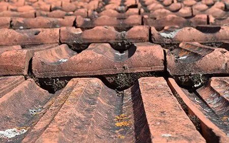 reparación de filtraciones de agua y sustitución de canalones en Palencia