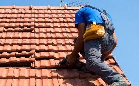 Restauración de Tejados en Villalobón