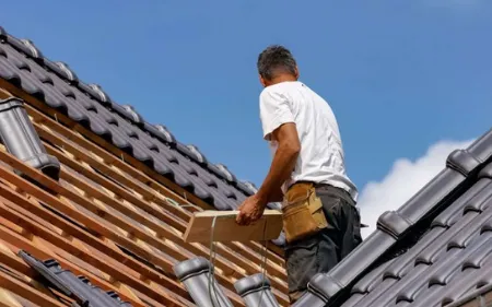 hacer un tejado nuevo de tejas en aguilar de campoo, palencia